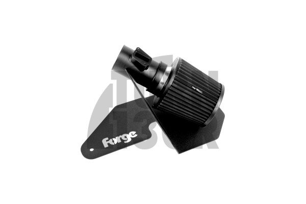 Forge Intake Ford Fiesta ST 180
