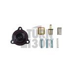 GFB Diverter Valve  for DS3 1.6 THP