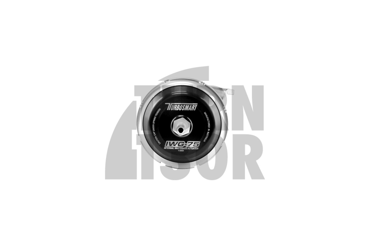Turbosmart IWG75 Internal Wastegate Turbo Actuator for Leon 1M - Golf 4 GTI - TT 8N & Polo 9N GTI 1.8T 20V