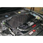 Gruppe M Carbon Fiber Intake System for Audi RS6 C5