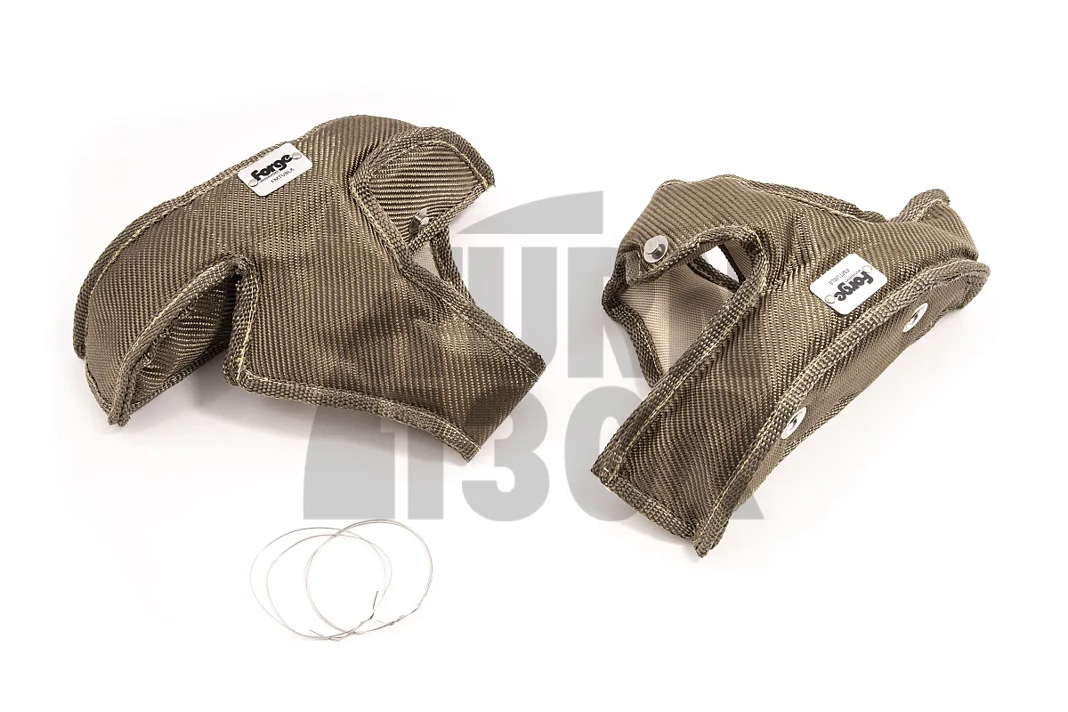 Turbo Segas BMW 135i / 335i N54 Forge Motorsport