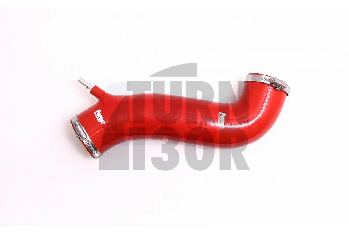 Forge silikona ieplūdes šļūtene Ford Fiesta Mk7 ST 180