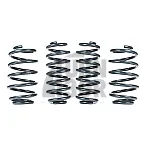 Racingline Sport Springs Skoda Octavia NX vRS