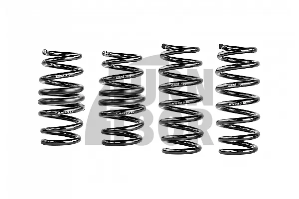 Eibach Pro-Kit Lowering Springs for Audi R8 4S -20mm