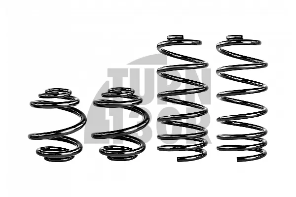 Eibach Pro-Kit Lowering Springs for Audi S3 8L -25mm