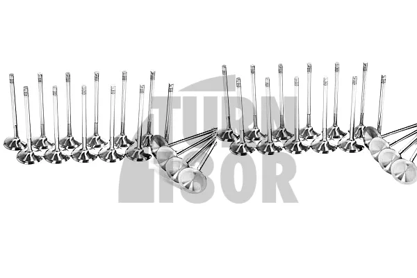 Ferrea Competition Plus Engine Valves x16 for S3 8P - Golf 6 R 2.0 - Leon 2 Cupra TFSI EA113