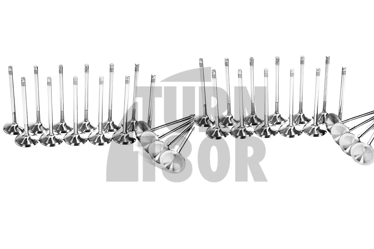 BMW M3 F80 / M4 F8x / M2 Comp F87 Ferrea Competition Plus Engine Valves x24