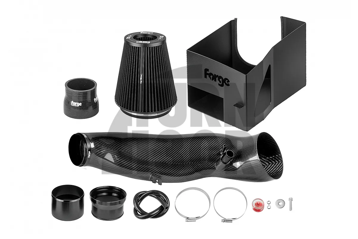 Forge Motorsport Carbon Induction Kit for Audi RS3 8V & RS3 8Y