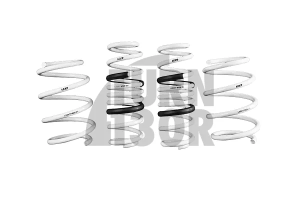 Golf 7 R Leyo Sport Springs