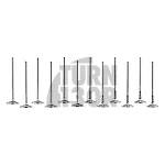 Ferrea Competition Plus Engine Valves x12 for Toyota Yaris GR