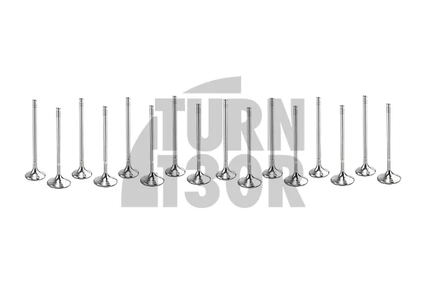 Ferrea Special Alloy 6000 Engine Valves x16 for Honda Civic EG6 - EK4 B16