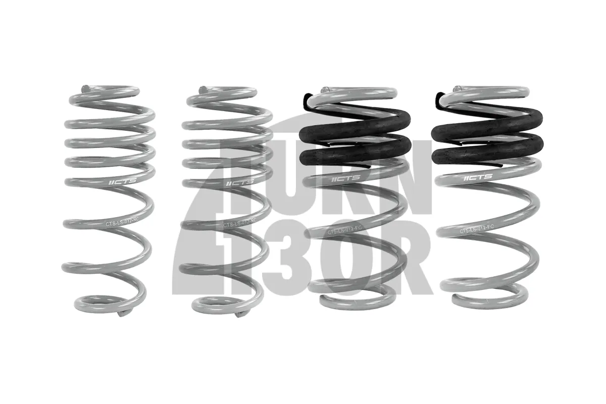 CTS Turbo -50mm Sport Springs Audi A4 un S4 B8