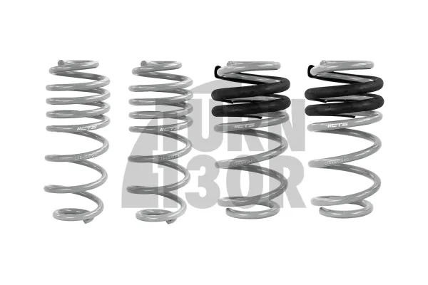 CTS Turbo -50mm Sport Springs Audi A4 un S4 B8