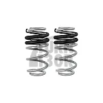 CTS Turbo -50mm Sport Springs Audi A4 un S4 B8