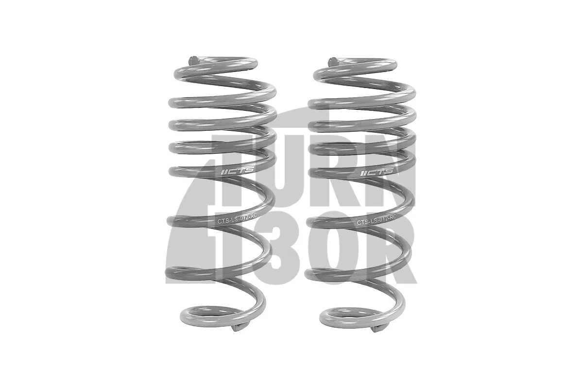 CTS Turbo -50mm Sport Springs Audi A4 un S4 B8