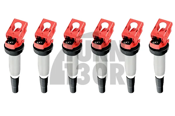 BMW 135i/235i/335i/M2/M3/M4/M5 - N54, N55, S55, S54 Dinan Sarkanīs Purgātāji