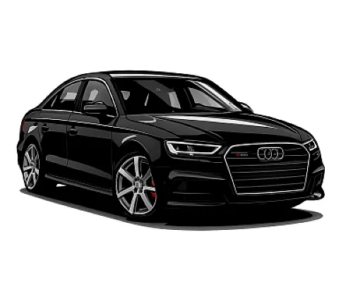 Audi S3 2.0 TFSI (8V/8.5V) — 300 or 310 PS • 2013–2020