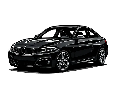 BMW 2 Series M2C/CS (F2X/F87) — 410 or 450 PS • 2013–2021