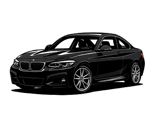 BMW 2 Series M2 (FXX) — 370 PS • 2013–2020
