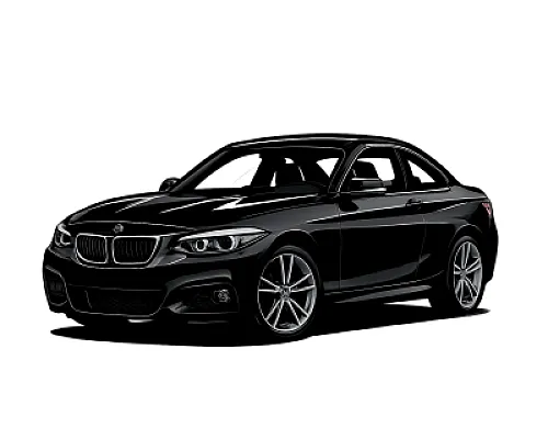 BMW 2 Series M2C (FXX) — 410 or 450 PS • 2013–2020
