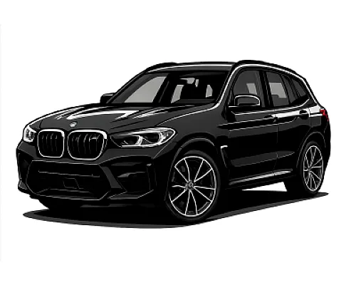 BMW X3 / X4 M (F9X) — 480 or 510 PS • 2016–2023