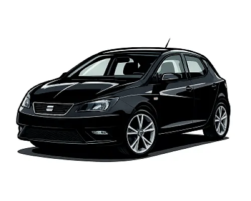 Seat / Cupra Ibiza (6J) — 180 PS • 2008–2015