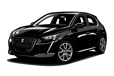 Performance parts for Peugeot 208 PF1 - 12 - 19 GTI - 200 / 208