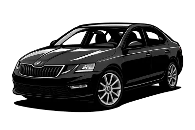 Performance parts for Skoda Octavia  5E - 13 - 20 RS - 220/230/245