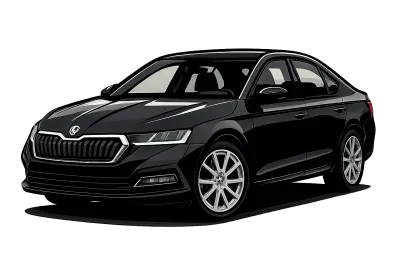 Performance parts for Skoda Octavia  NX - 20 - ... RS - 245/265